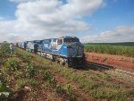 RUMO 9877